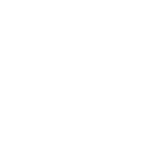 LAP media